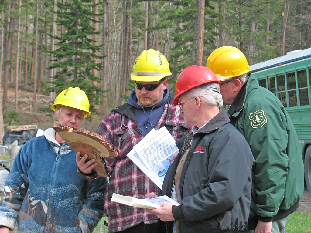 Montana Forest Restoration Working Group, Lolo National Forest
