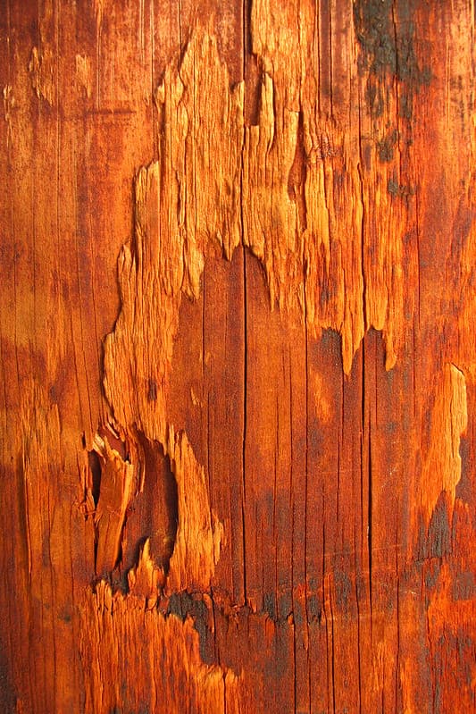 Wood texture 2