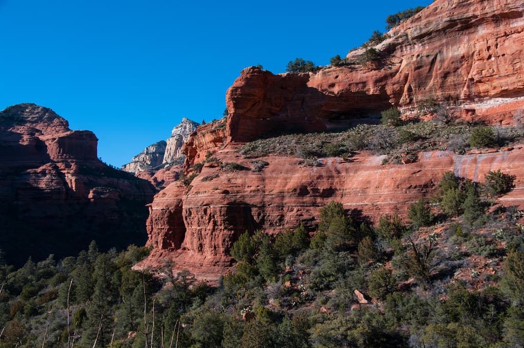 Boyton Canyon Trail No. 47