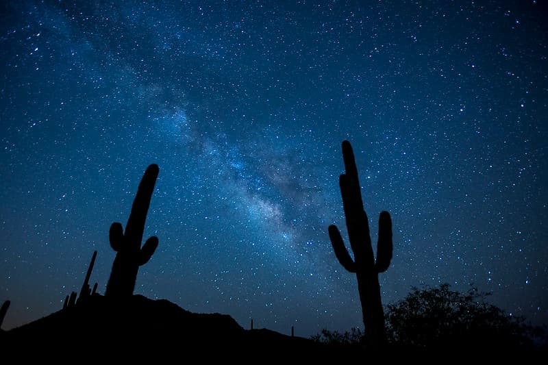 Sonoran Desert National Monument