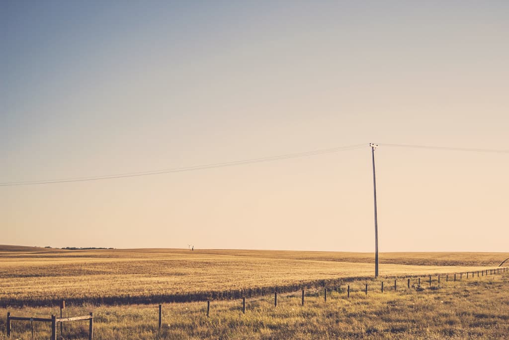 Wheat Fields with Overhead Power Line