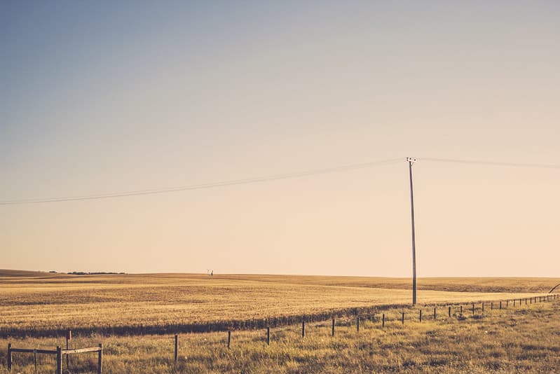 Wheat Fields with Overhead Power Line