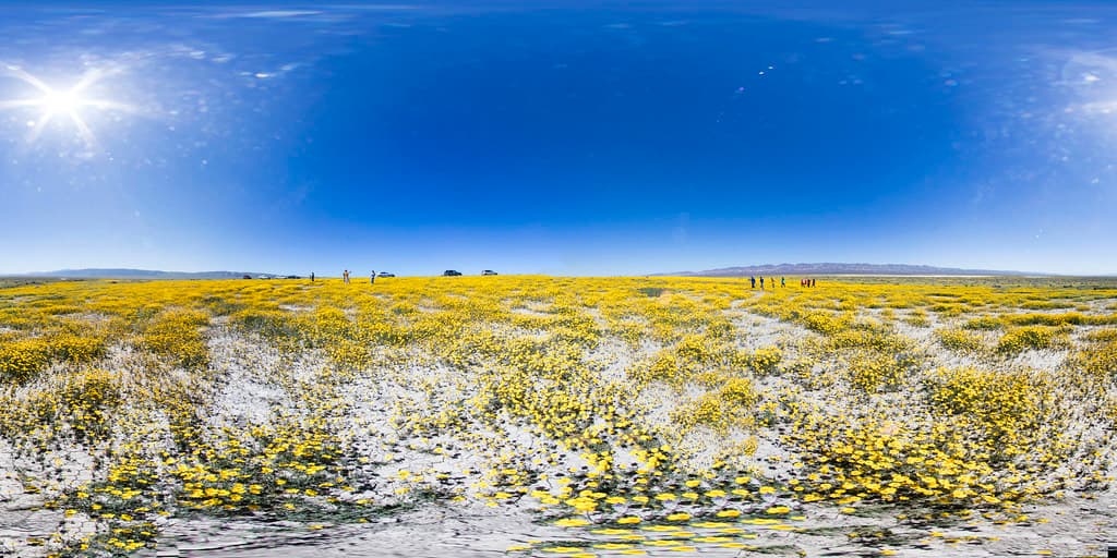 Carrizo Plain National Monument