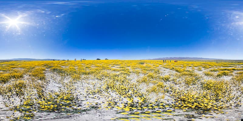 Carrizo Plain National Monument