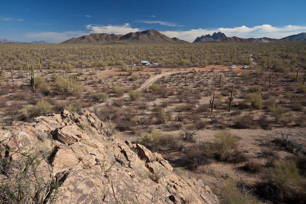 Ironwood Forest National Monument