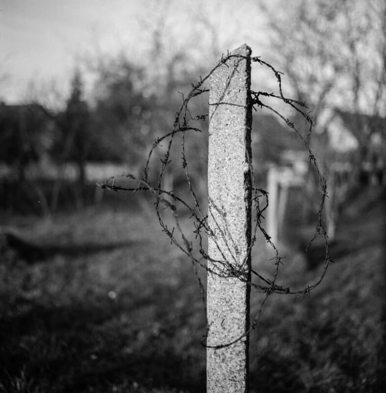 Barbed wire / szögesdrót