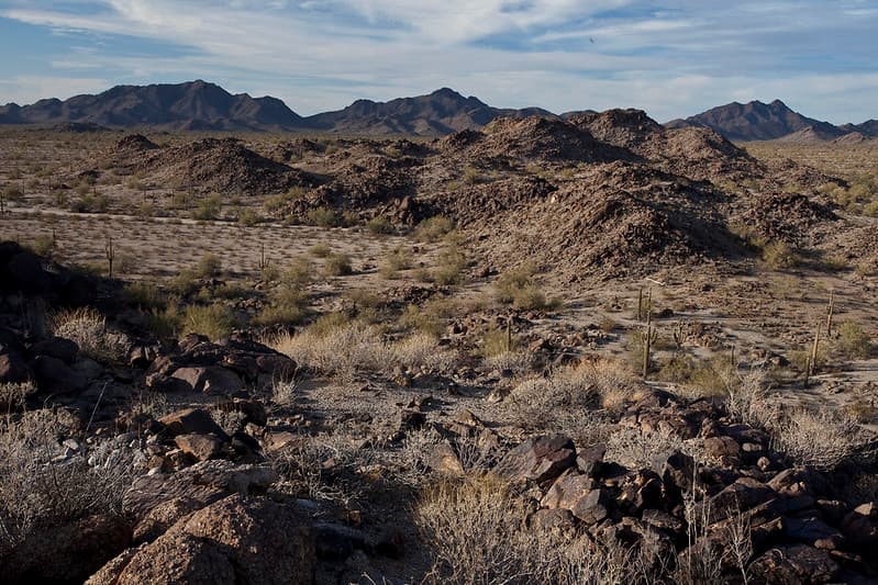 Sonoran Desert National Monument