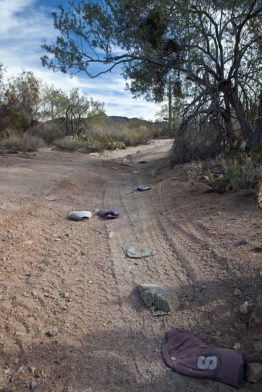 Sonoran Desert National Monument
