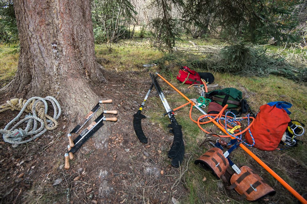 2013 Capitol Christmas Tree- The Tools