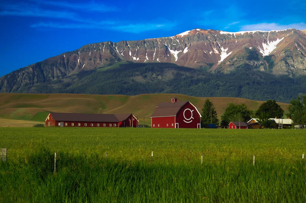 Architectural, architecture, barn