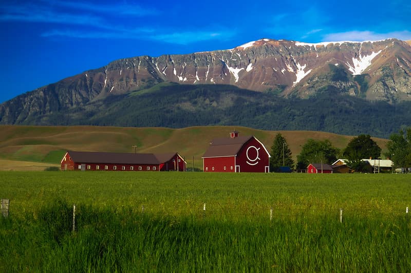 Architectural, architecture, barn
