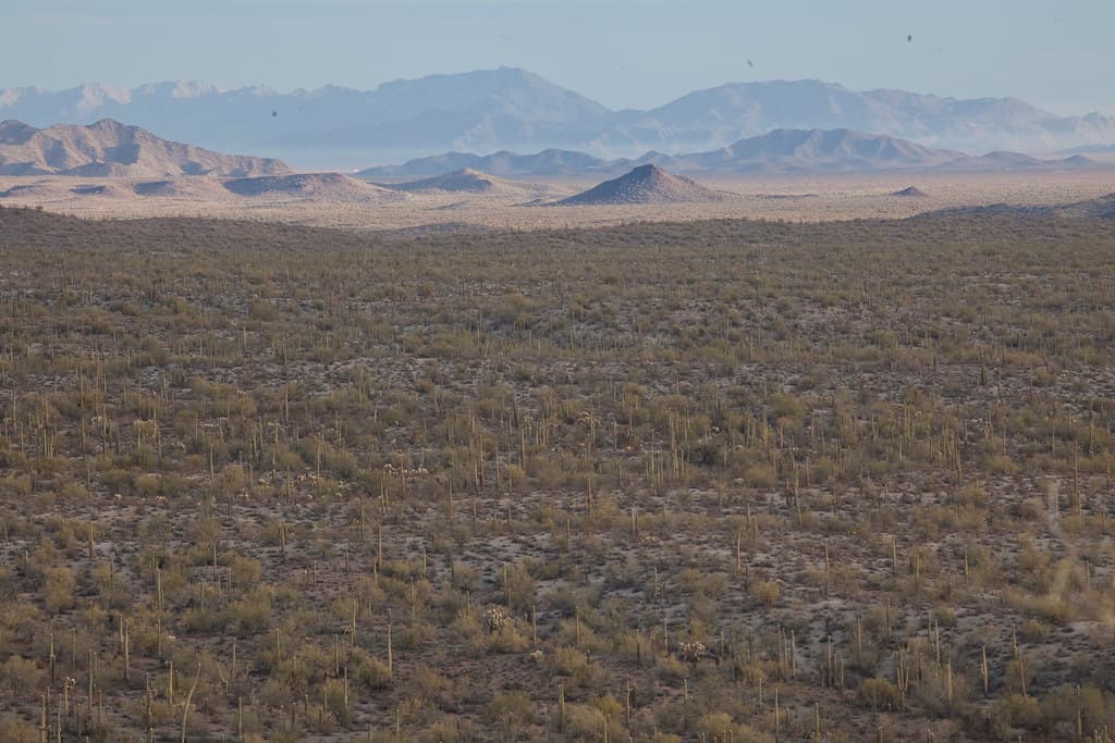 Sonoran Desert National Monument