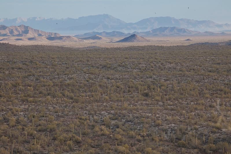 Sonoran Desert National Monument
