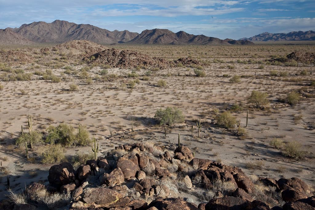 Sonoran Desert National Monument