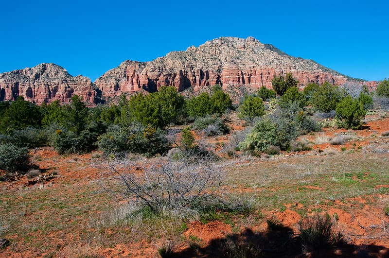 Jacks Canyon Trail No. 55
