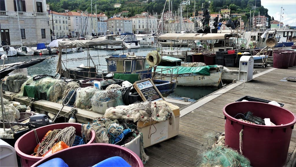 Fishing boats