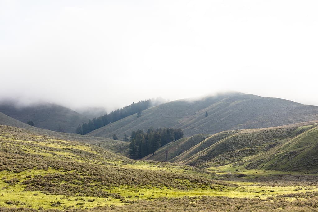 Low clouds over Bison Peak in Lamar Valley