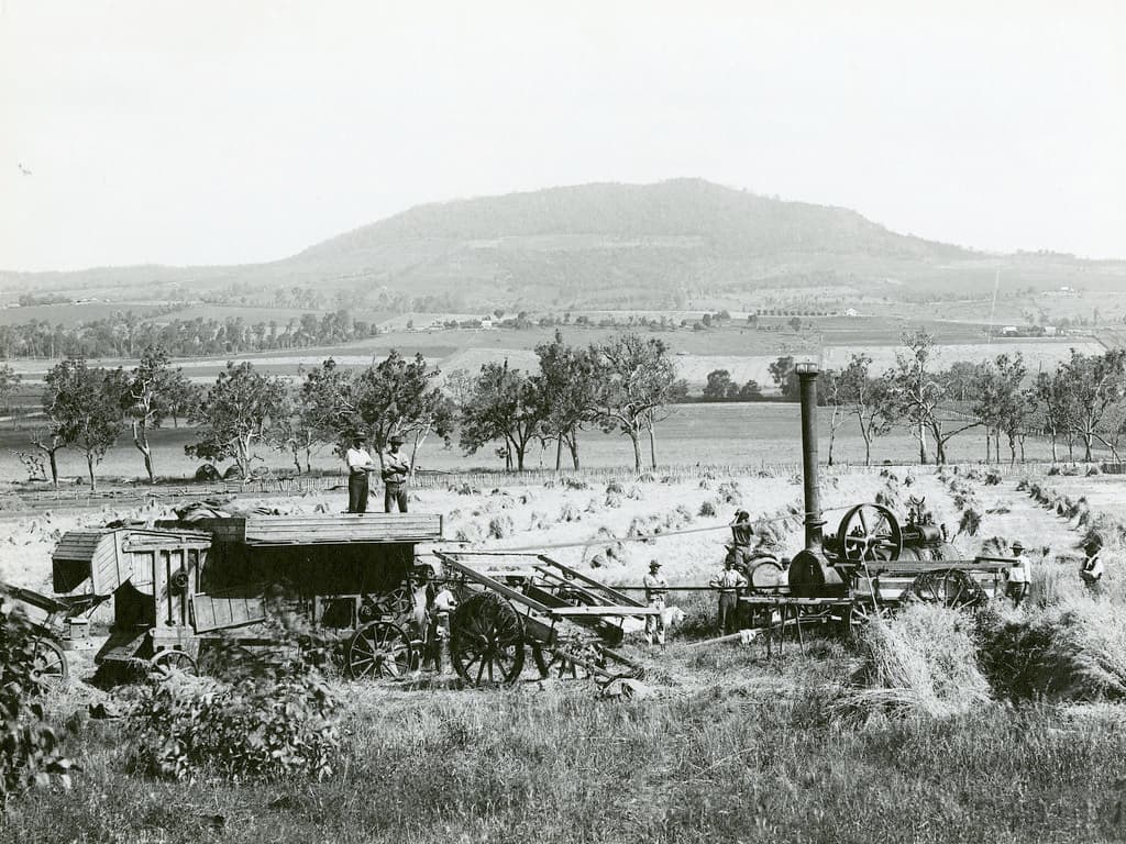 Wheat threshing, Yangan