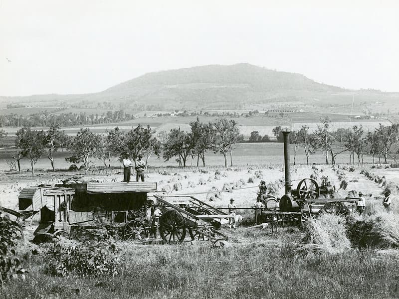 Wheat threshing, Yangan