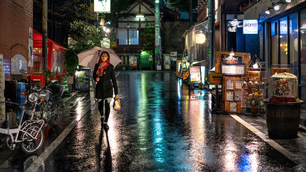 Shadow in the Rain II