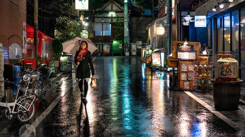Shadow in the Rain II