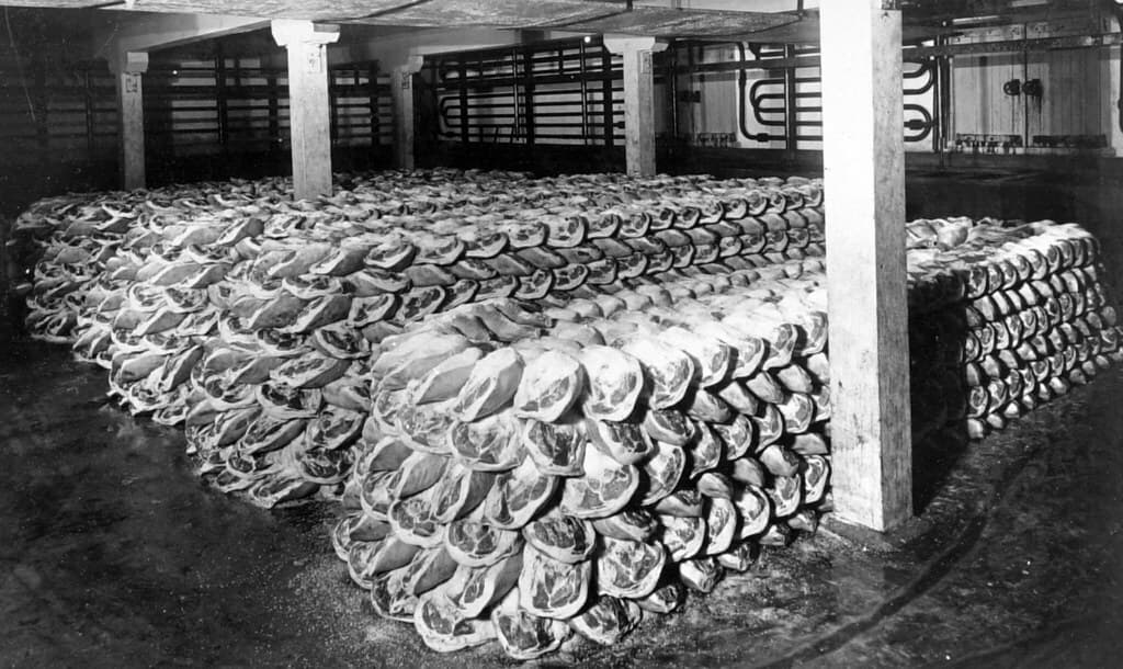 Hams in curing room, Bacon Factory, Murarrie, c 1952