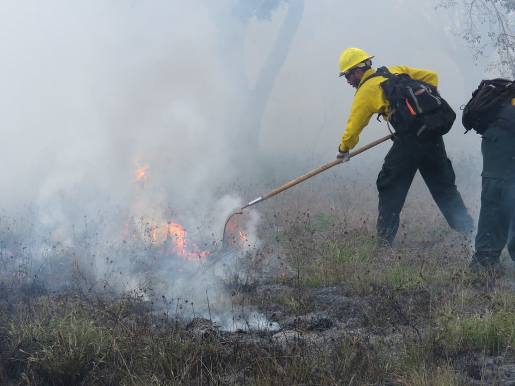 Monitoring a Prescribed Fire