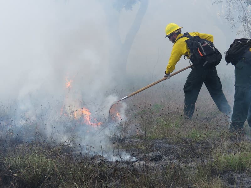 Monitoring a Prescribed Fire
