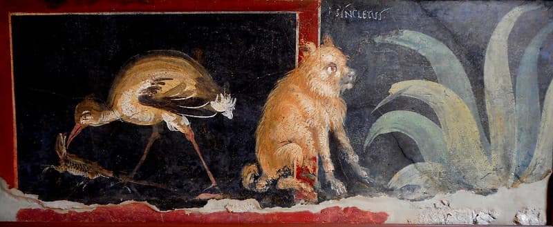 Archaeologicalmuseum, asyncletus, dog