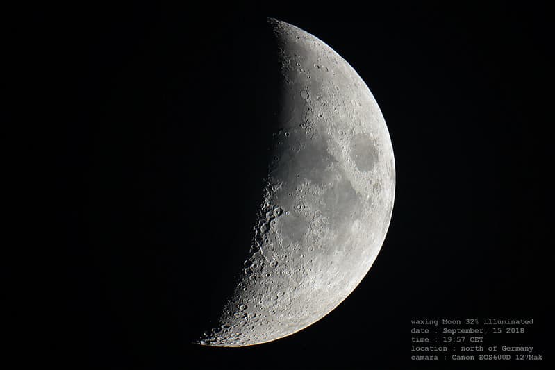 Luna today 11