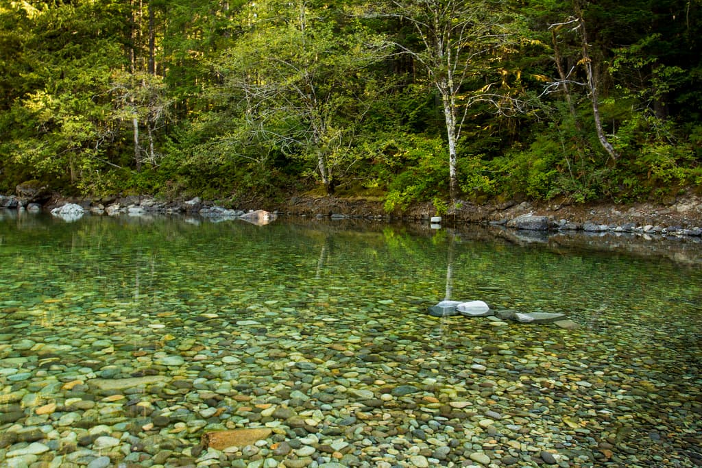 Santiam River in the Opal Creek Wilderness area, Oregon