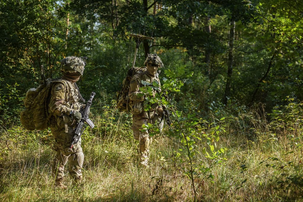 Electronic warfare - exercise Saber Junction 2018