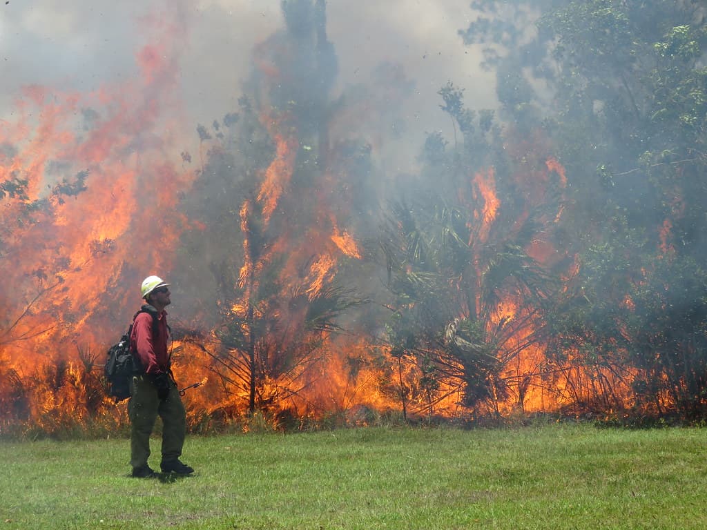 Monitoring Prescribed Fires