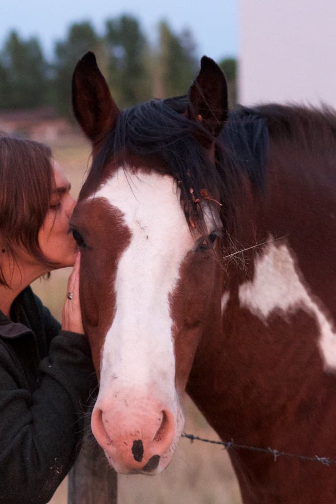 Horse Whispering