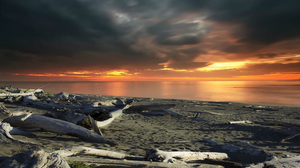 Crissey Field State Park, Oregon