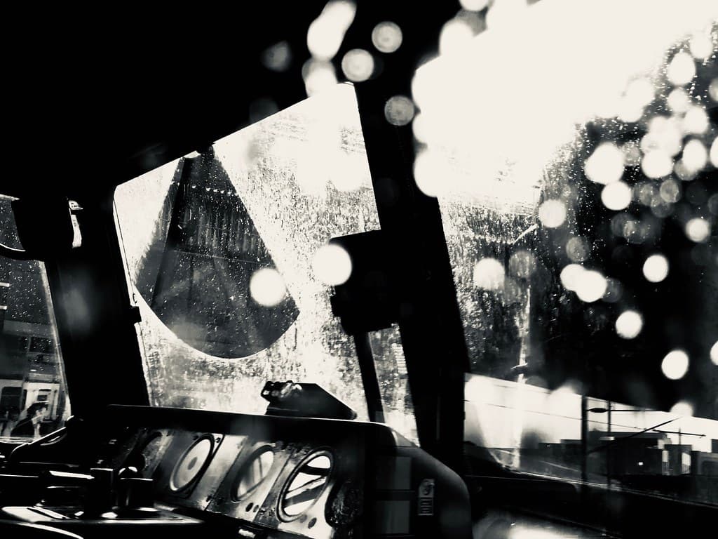 In the Early Morning Rain