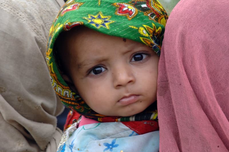 Afghan, afghanistan, alquaeda