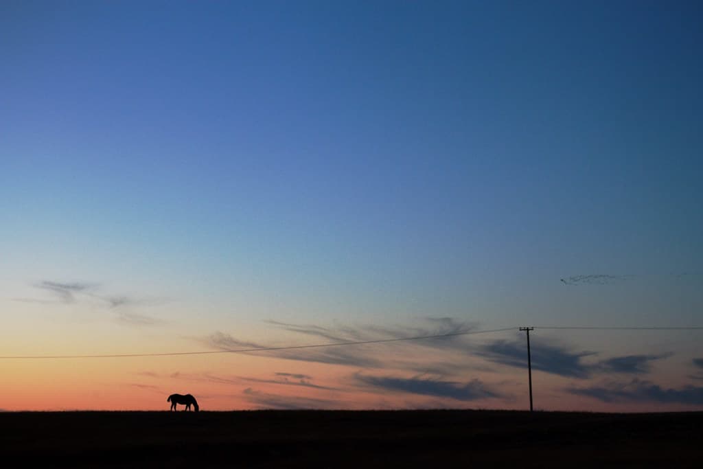 2018/365/268 Feeding on the Sunset