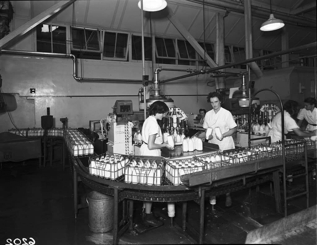 Milk pasteurising equipment - Peters and Pauls factories, Brisbane.