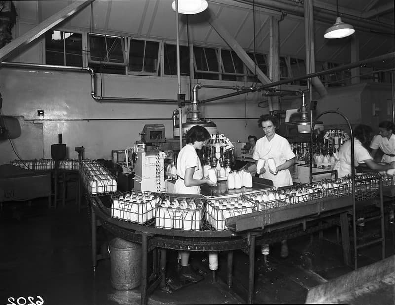 Milk pasteurising equipment - Peters and Pauls factories, Brisbane.