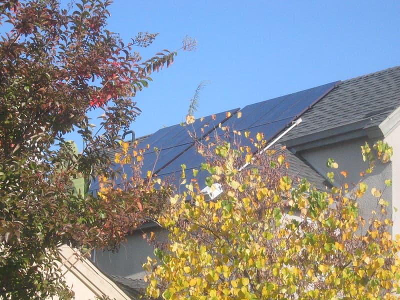 Cynthiagingerich, jeffneedham, siliconvalley