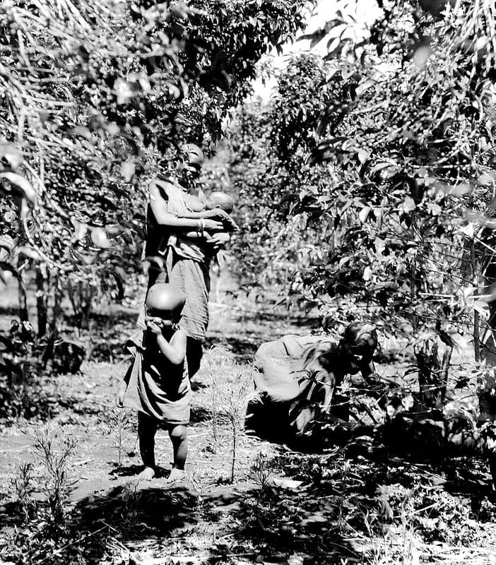 Africa, archive, child