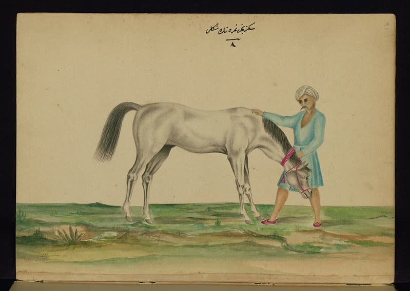 Book, codex, illustration