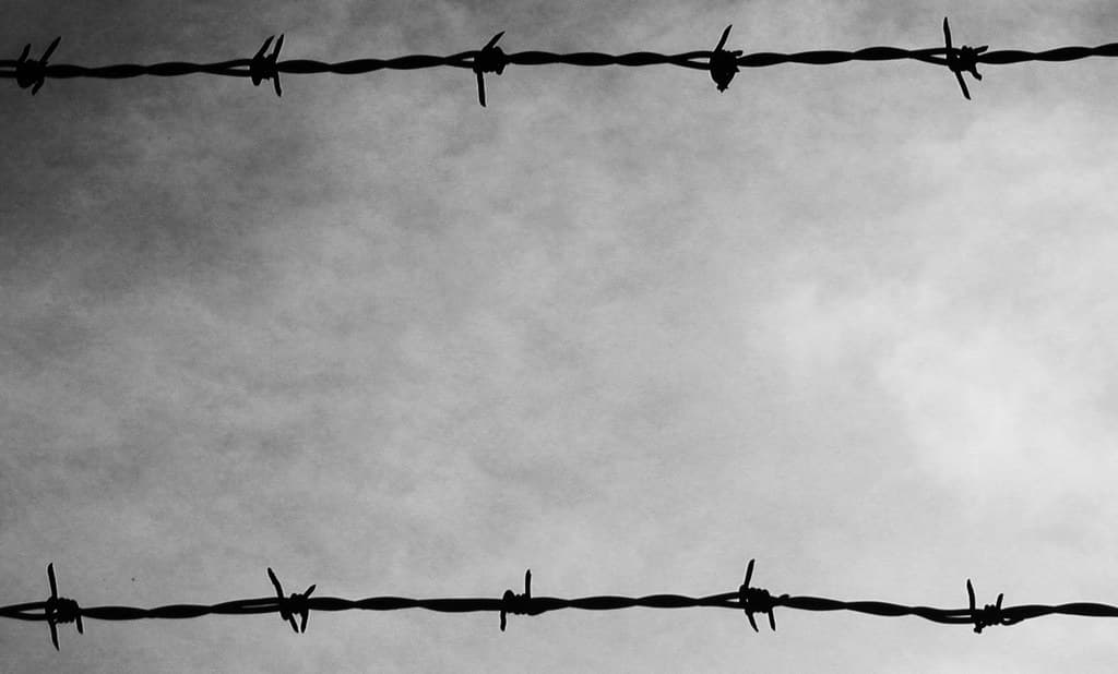 Barbed wire sky
