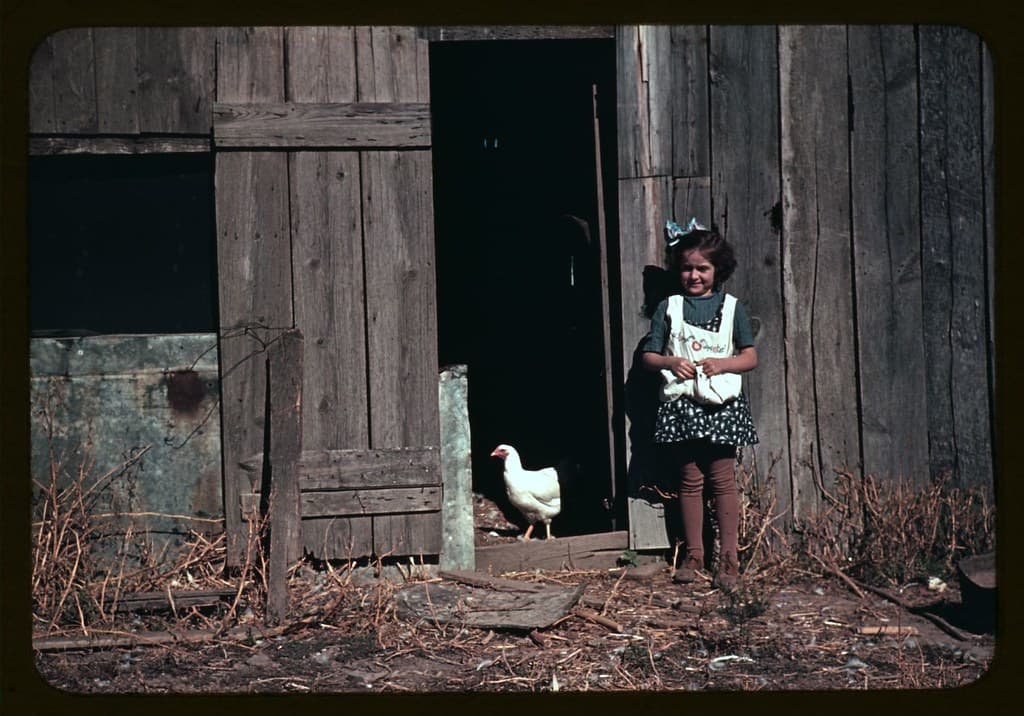 No Known Restrictions: Girl Next to Barn, ca. 1941-42 (LOC)