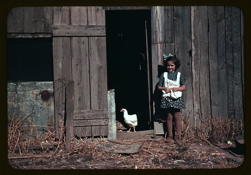 No Known Restrictions: Girl Next to Barn, ca. 1941-42 (LOC)