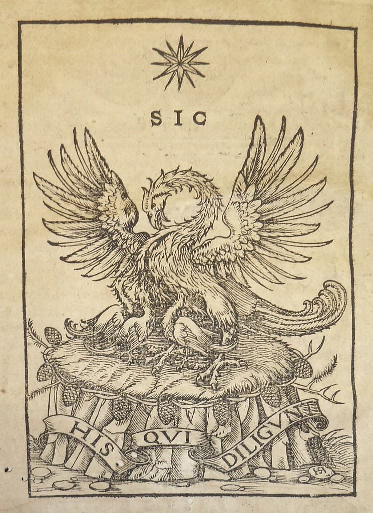 Large woodcut device of printer Franz Behem
