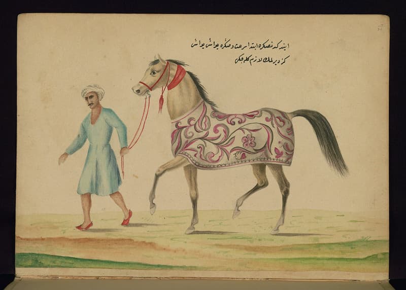 Book, codex, illustration