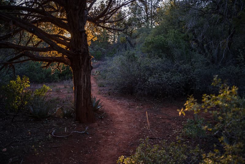 Woods Canyon Trail No. 93