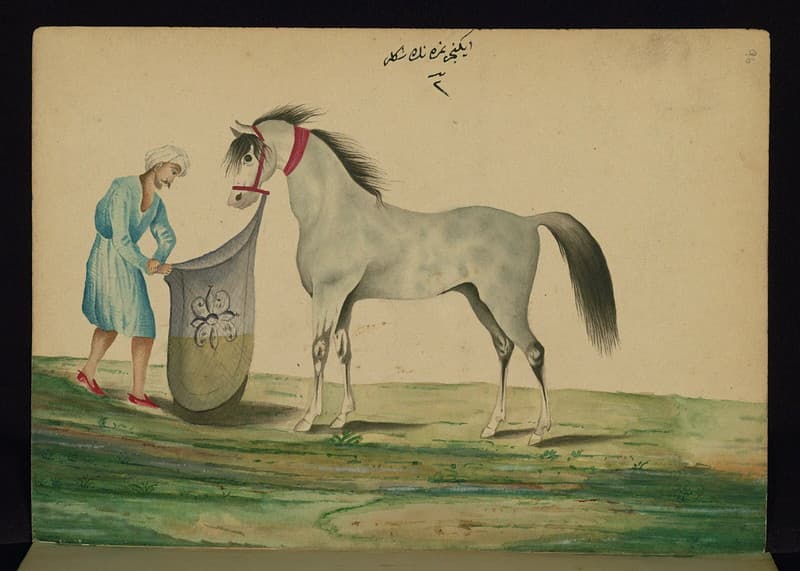 Book, codex, illustration